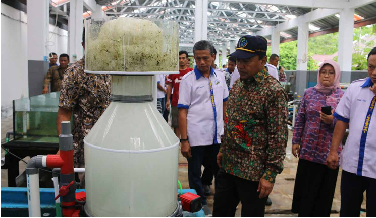 Ambon Mampu Produksi 3 Juta Benih Ikan Laut