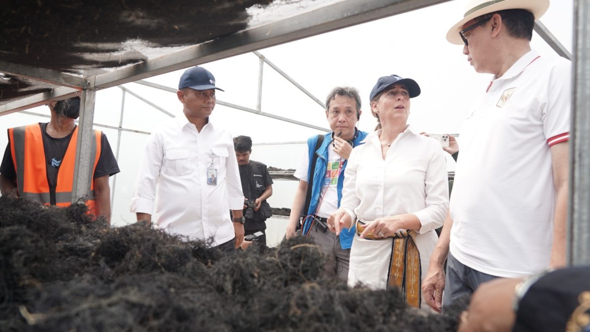 Dari Tambak ke Industri, KKP dan UNDP Genjot Hilirisasi Rumput Laut Gracilaria Sidoarjo