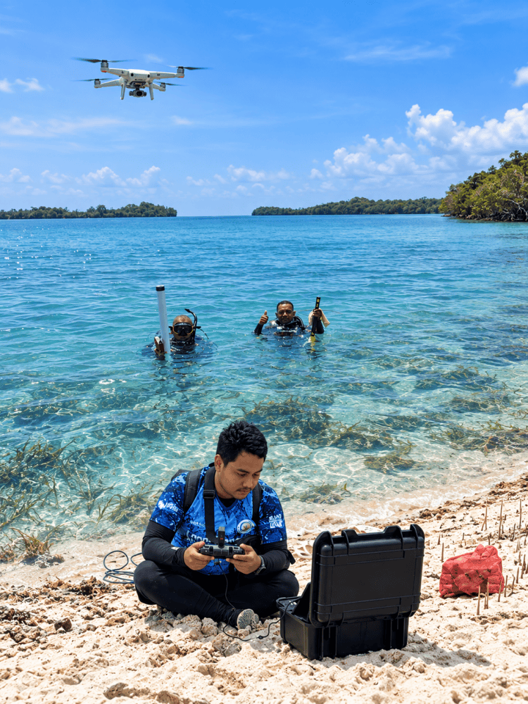 Bukan Sekadar Rumput Laut : Ribuan Hektare Lamun di Kepulauan Kei Kecil Berpotensi Simpan Karbon Biru