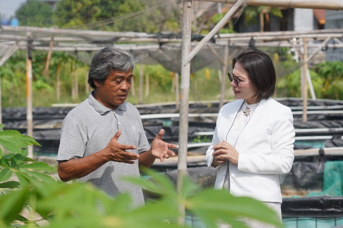 Pasokan Ikan Yogyakarta Masih Terbatas, Pokdakan Ngupoyo Mino Siapkan 355 Kolam untuk Ekspansi
