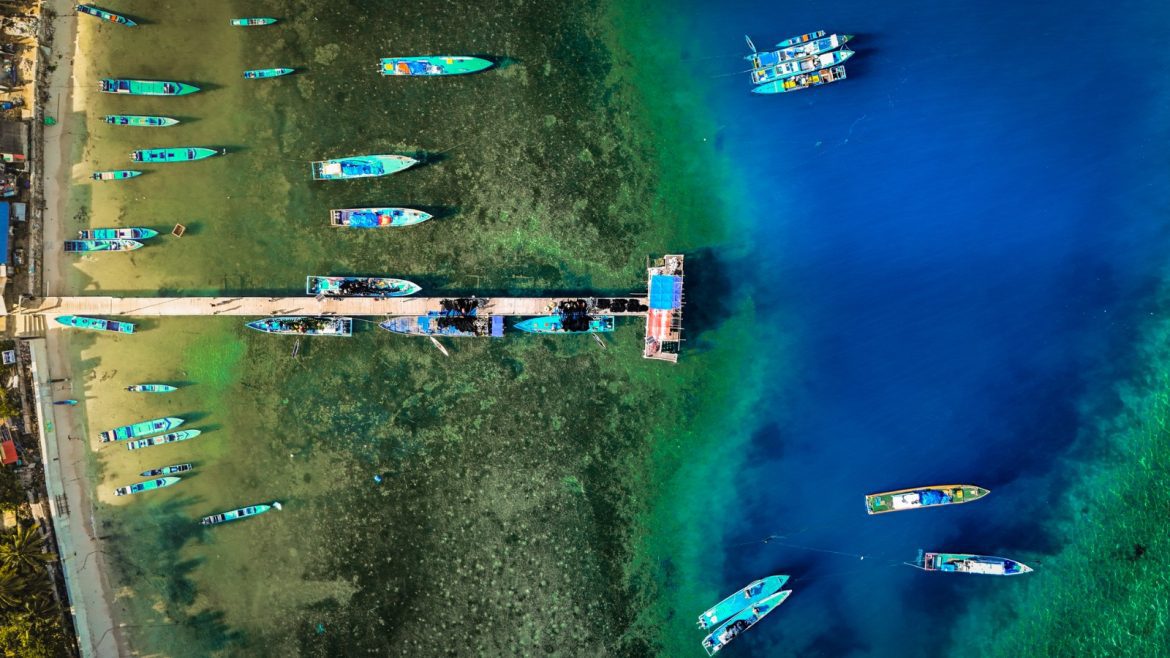 KKP Perluas Konservasi Laut hingga 31,6 Juta Hektare, Pengawasan IUU Fishing Diperketat